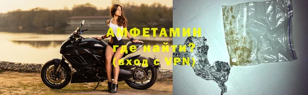 прущие грибы Каменка