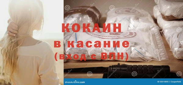 сатива Тайга