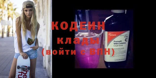 прущие грибы Каменка