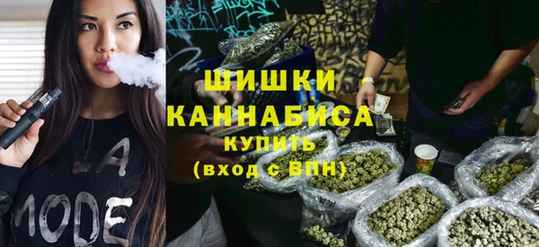 прущие грибы Каменка