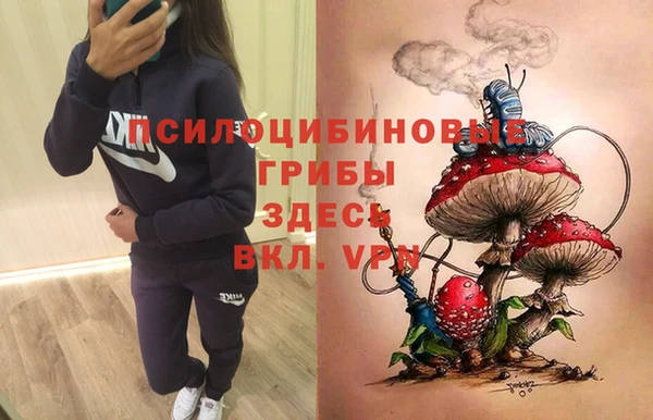 прущие грибы Каменка