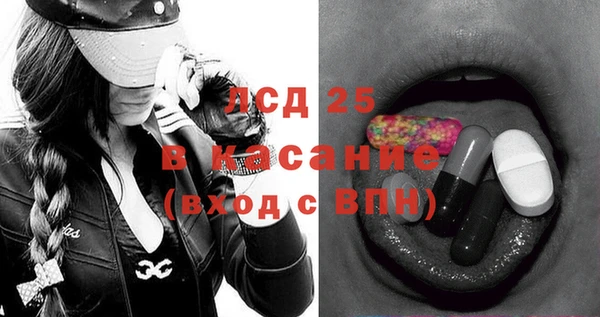 сатива Тайга