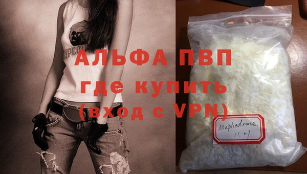прущие грибы Каменка
