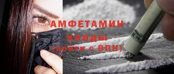 прущие грибы Каменка