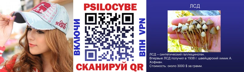 даркнет клад Коломна Псилоцибиновые грибы Cubensis