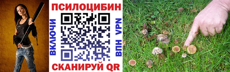 Псилоцибиновые грибы ЛСД Коломна