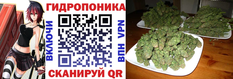 наркошоп  Коломна  Бошки марихуана White Widow 